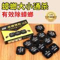 郁康 蟑螂药家用神器餐厅专用饭店正品一窝全窝强力除杀胶饵剂端灭蟑 图片 4