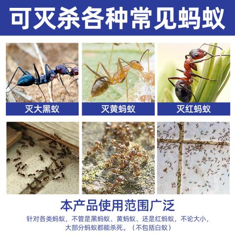 郁康 灭蚂蚁药家用室内灭蚁清去除杀小蚂蚁黄无红蚂蚁全窝端神器毒饵剂 图片 9
