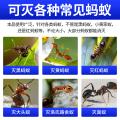 郁康 蚂蚁药室内外全窝家用非无毒正品除灭蚁专用粉末饵剂杀虫剂 图片 5