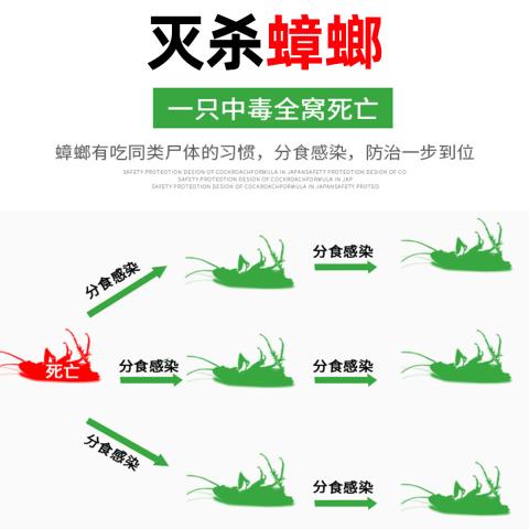 郁康 蟑螂药家用一窝正品饭店全窝餐厅端专用神器强效灭除杀蟑胶饵剂 图片 6