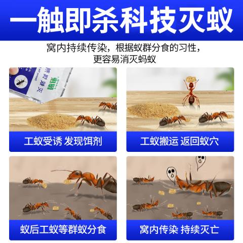 郁康 蚂蚁药室内外全窝家用非无毒正品除灭蚁专用粉末饵剂杀虫剂 图片 8