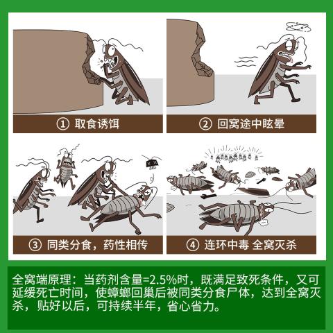 郁康 蟑螂药家用高效灭蟑扫净厨房饭店强力灭蟑胶饵剂贴6粒 图片 5