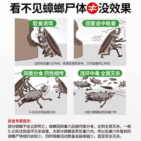 郁康 2盒蟑螂药强力家用杀蟑胶饵剂扫净厨房强力除蟑螂大小蟑螂 图片 10