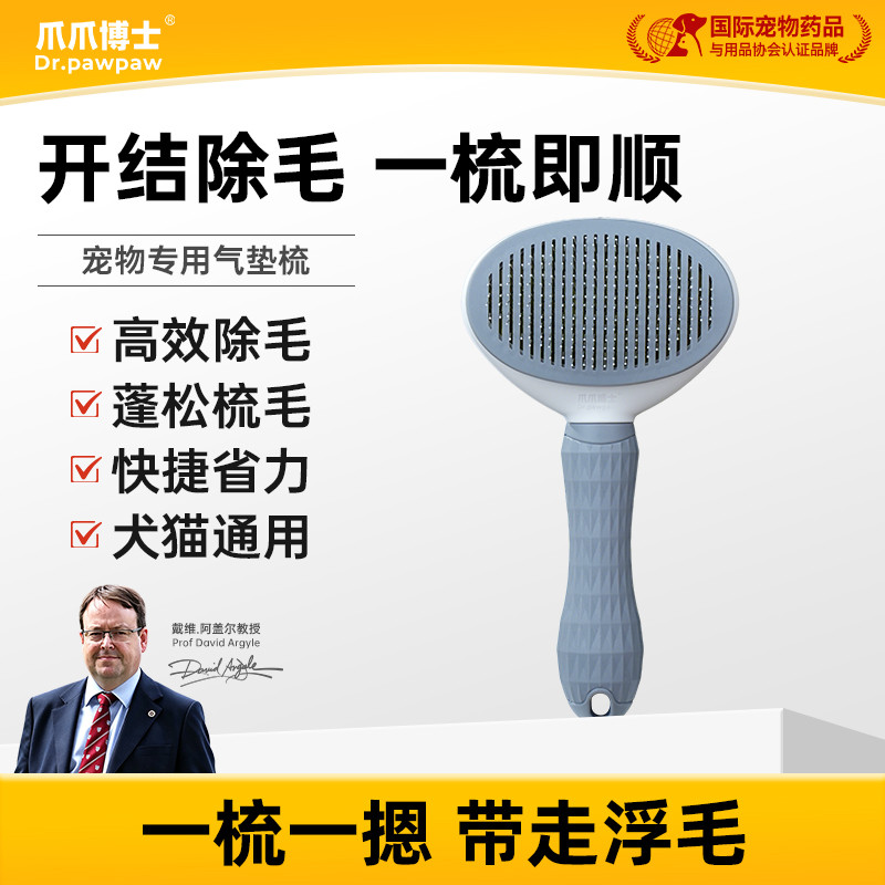金毛宠物用品