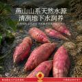 春江月 红瑶红薯干地瓜干无添加糖农家自制烤番薯干低脂零食小吃健康早餐 图片 4