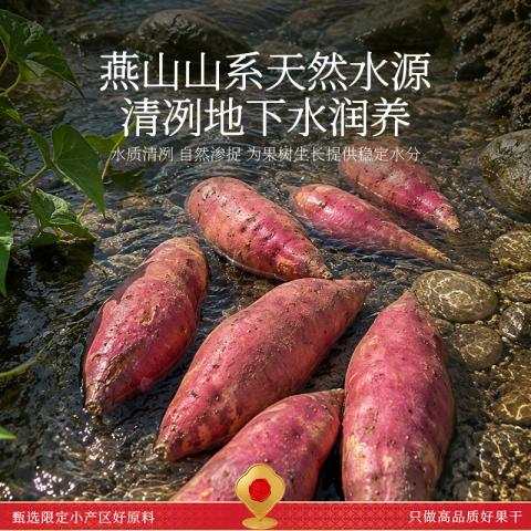 春江月 红瑶红薯干地瓜干无添加糖农家自制烤番薯干低脂零食小吃健康早餐 图片 4