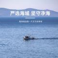 鲜珥家 烘干压缩海带丝16g*5/10包海产干货海带煲汤海洋蔬菜凉拌下饭嫩苗 图片 8