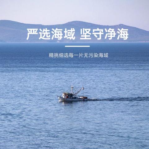 鲜珥家 烘干压缩海带丝16g*5/10包海产干货海带煲汤海洋蔬菜凉拌下饭嫩苗 图片 8