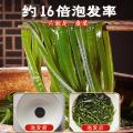 鲜珥家 烘干压缩海带丝16g*5/10包海产干货海带煲汤海洋蔬菜凉拌下饭嫩苗 图片 3