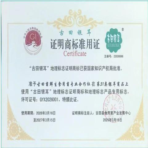 鲜珥家 古田有机本草银耳80g*2罐干货免洗免煮金燕糯耳焖泡即食银耳羹 图片 12