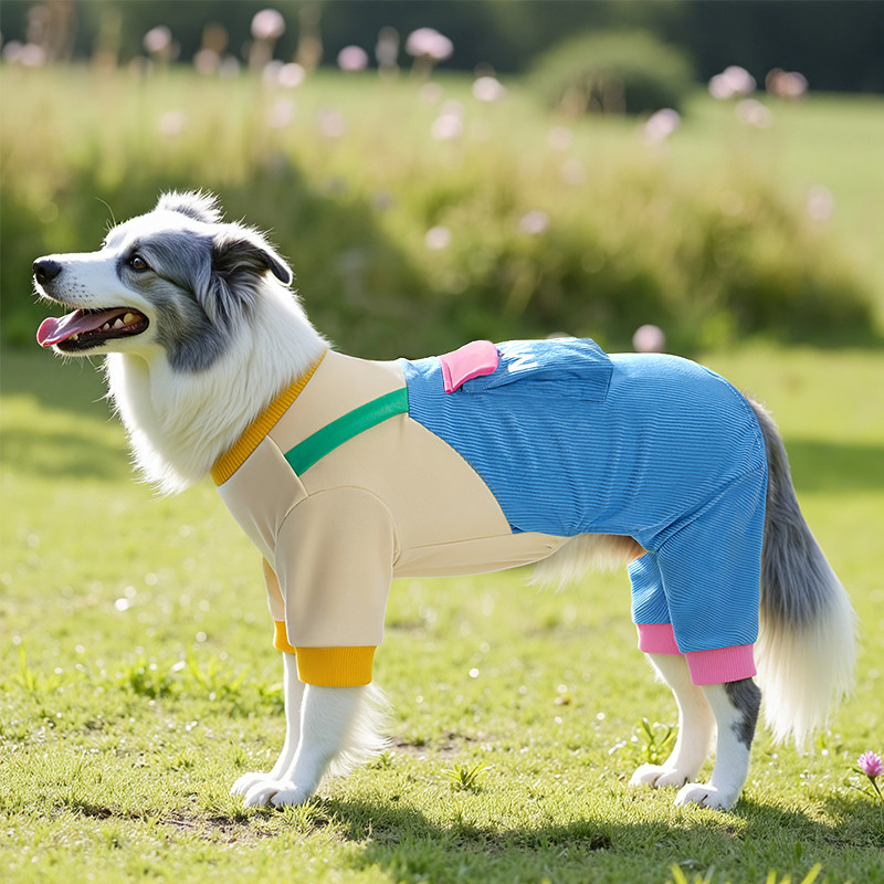 MIKI PET 大狗狗衣服四脚春秋款边牧金毛拉布拉多巨贵中大型犬防脏宠物秋季