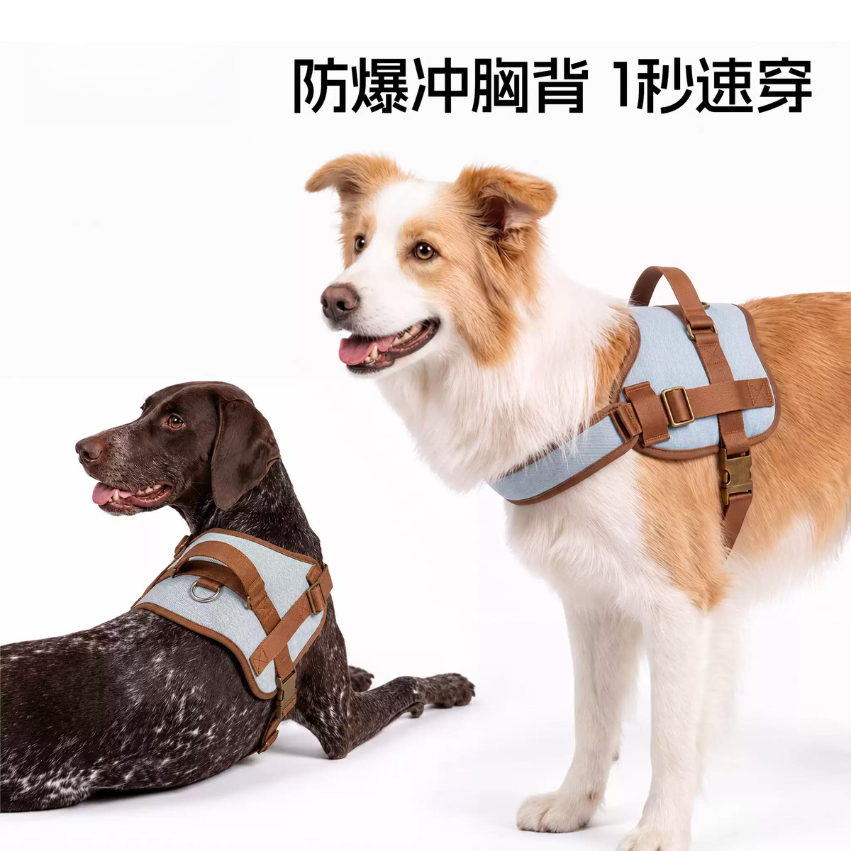 MIKI PET 狗狗牵引绳狗背心式胸背带防爆冲牵引绳外出遛狗背带狗专用牵引绳
