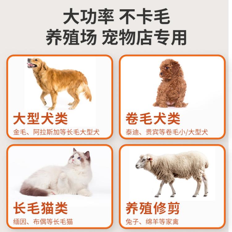 商品缩略图 3