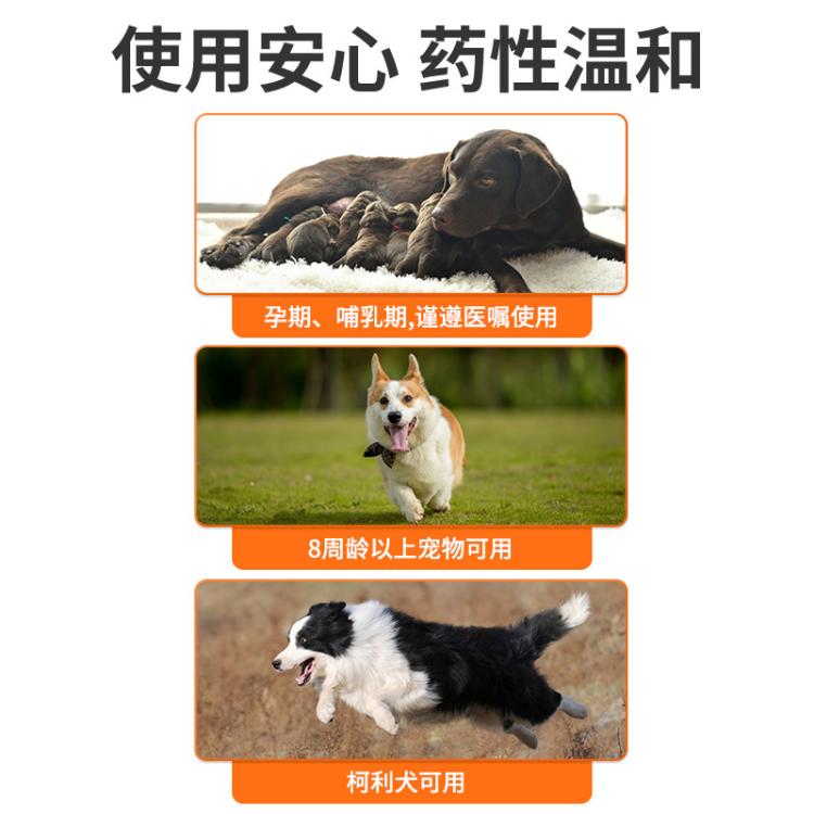 商品缩略图 7
