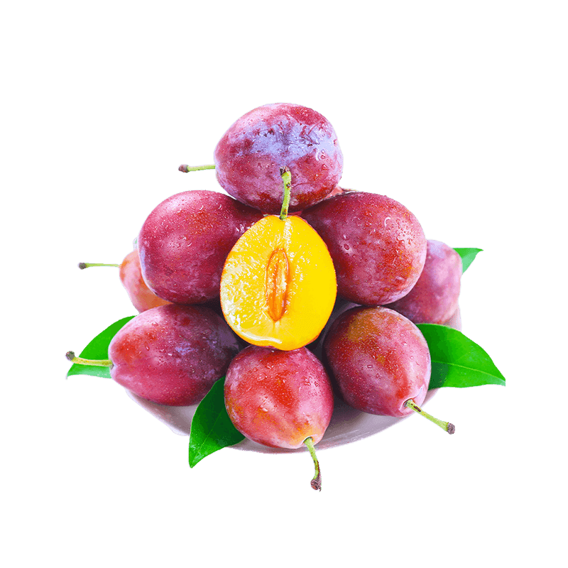 �ʸ�԰ ����������÷�ʹ�����ˮ�� 36Ԫ