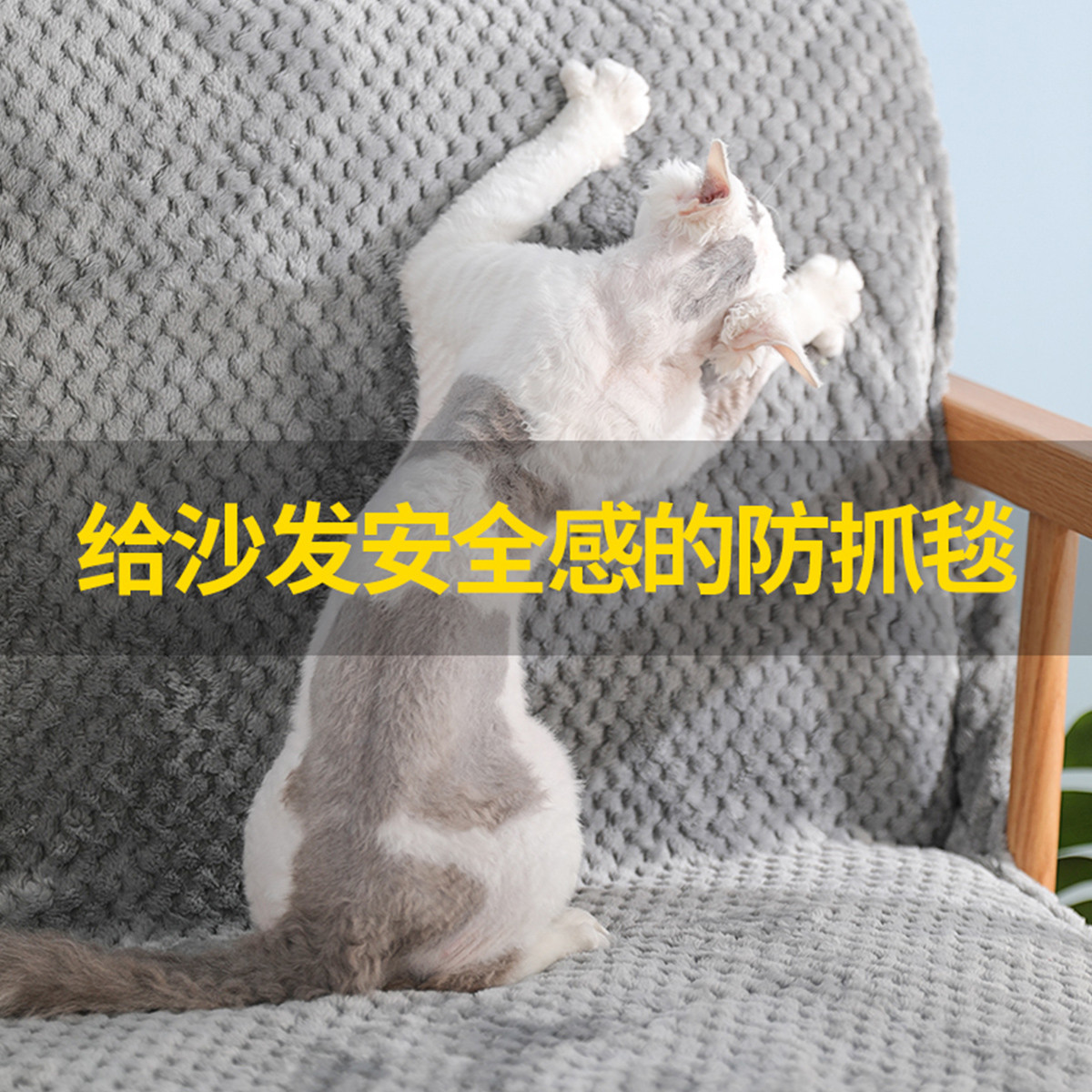 四季宠物猫窝