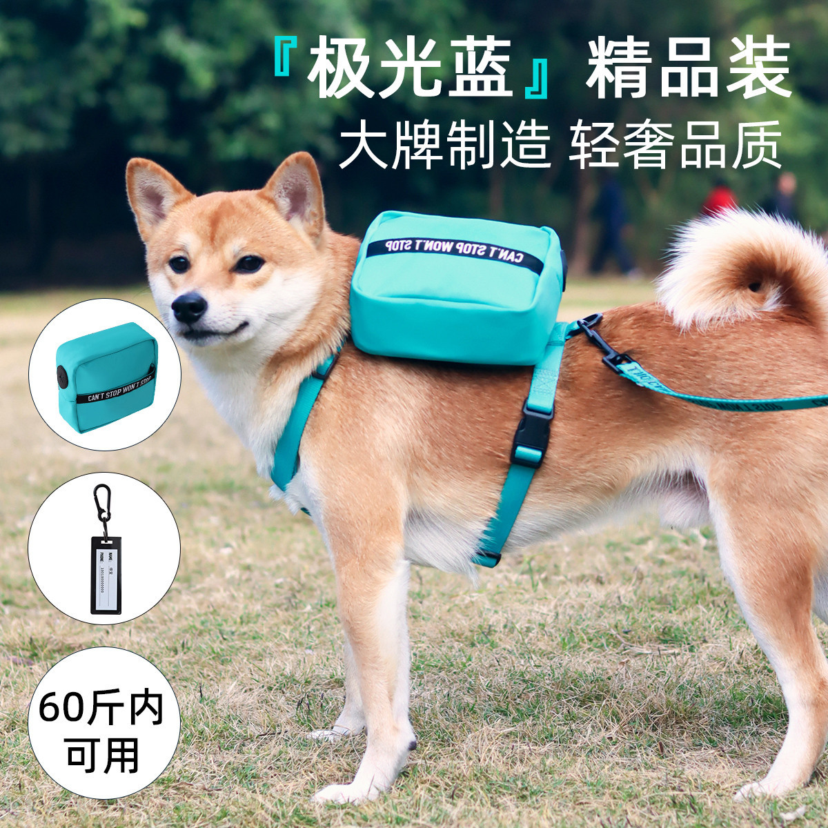贝倍趣 【大牌&时尚】极光蓝宠物牵引绳大小犬防爆冲柯基金毛狗绳胸背带
