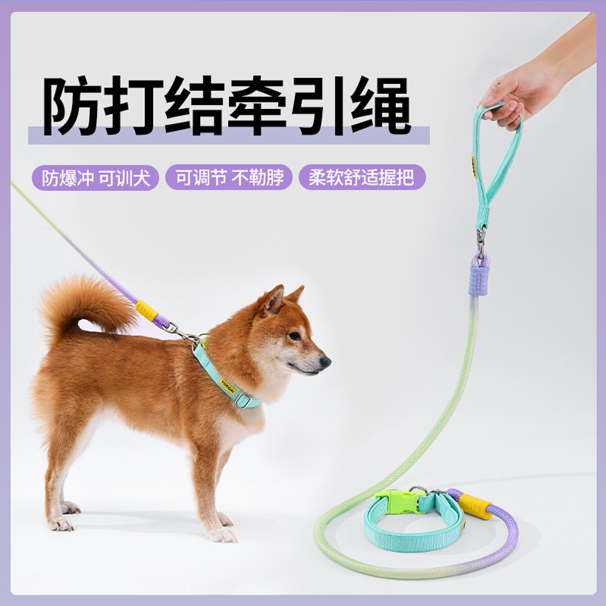 贝倍趣 【拉断换新】狗狗牵引绳中小犬项圈狗绳防爆冲狗链P绳狗链遛狗绳