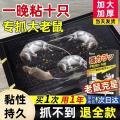 PISSA 粘鼠板加厚强力大号捕鼠神器家用厨房用强效粘贴抓捉老鼠克星 图片 1