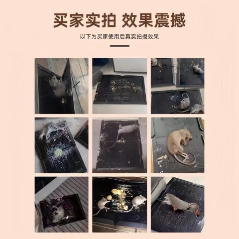PISSA 粘鼠板加厚强力大号捕鼠神器家用厨房用强效粘贴抓捉老鼠克星 图片 7