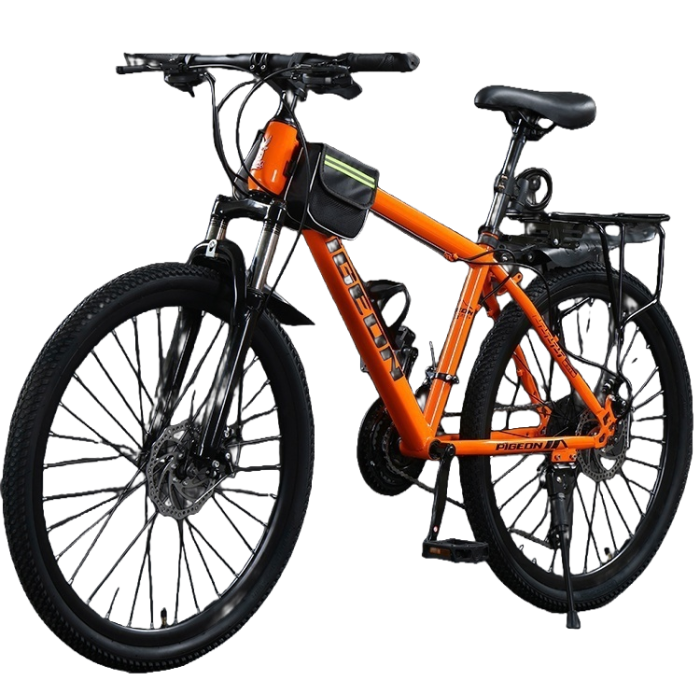 ɽ�س����г������п����ԽҰ���е���Ů��������ѧ������