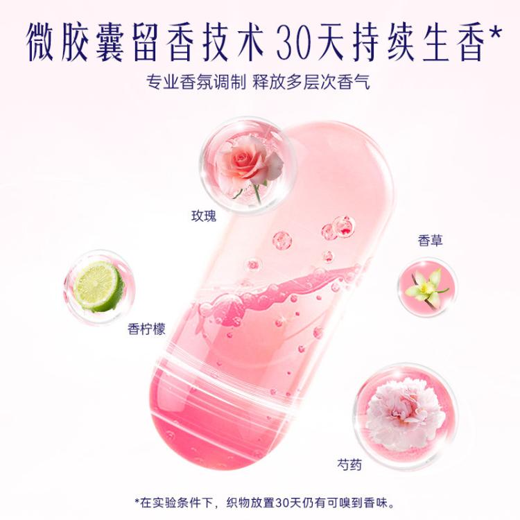 喜净 【芍药盛放】hygiene香氛洗衣液泰国进口持久留香去污渍机/手洗