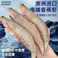 首鲜道 澳洲香蕉虾 白虾基围虾大虾青虾 速冻对虾生鲜 海产冻品1000g/盒