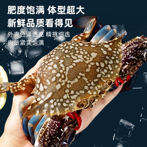 首鲜道 阿曼冷冻兰花蟹 螃蟹野外海捕 活冻梭子蟹 冷冻海产冻品1500g/袋 图片 3