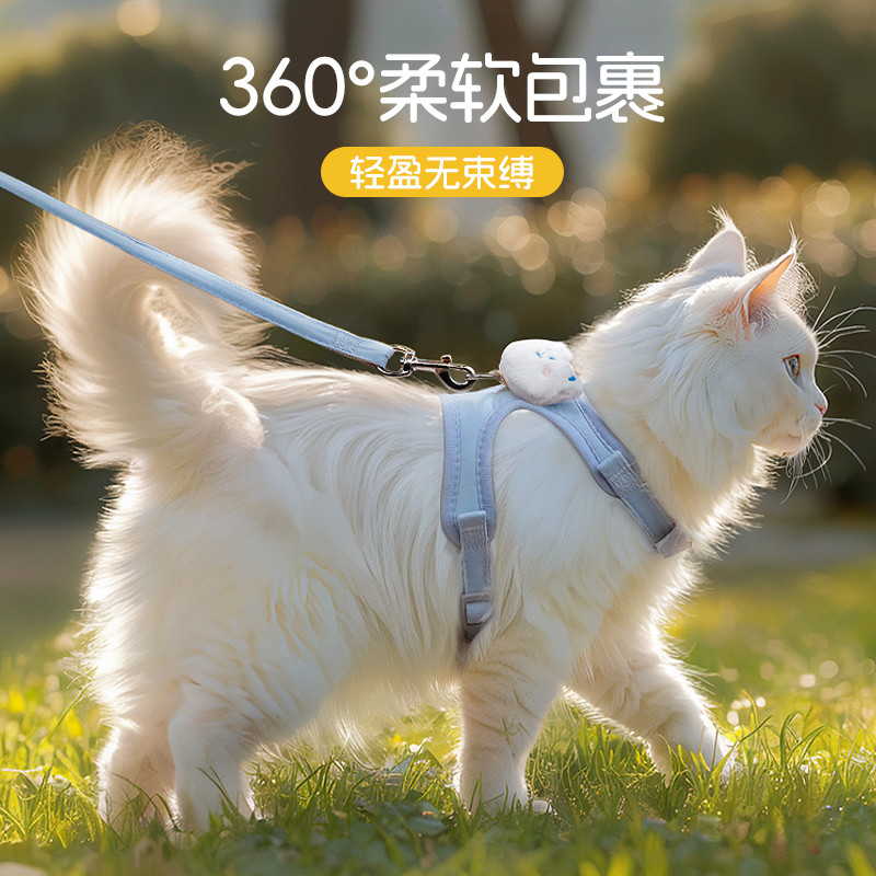 猫咪幼猫用品