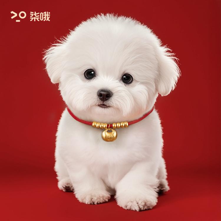商品缩略图 7