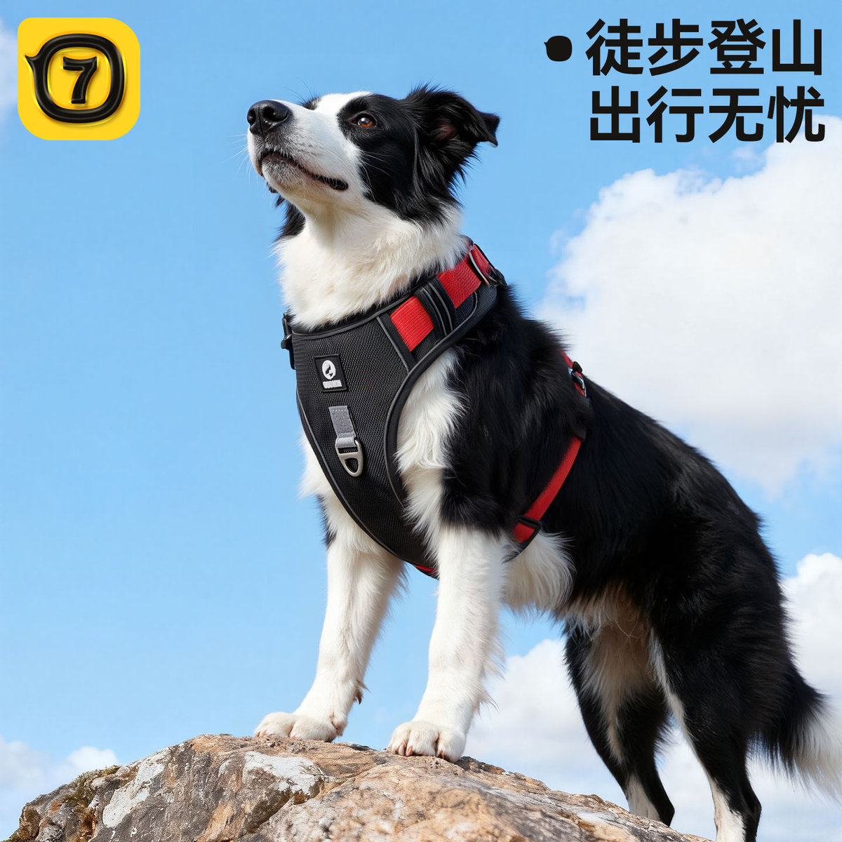 柒哦 大型犬带狗狗牵引绳胸背背心式防爆冲遛狗绳子边牧金毛萨摩耶大狗