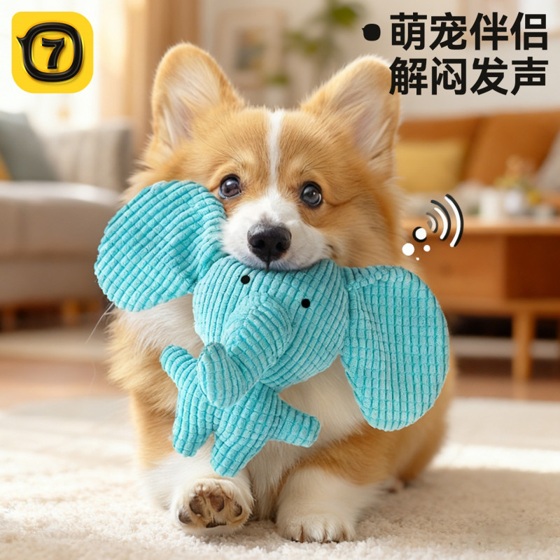 狗狗比熊用品