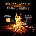 TCL 电视 Q9L Pro QD-Mini LED蝶翼星曜屏万象分区55/65/75/85/98英寸 图片 7