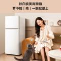 TCL  116升迷你双门白色小冰箱宿舍租房小型节能冰箱 图片 4