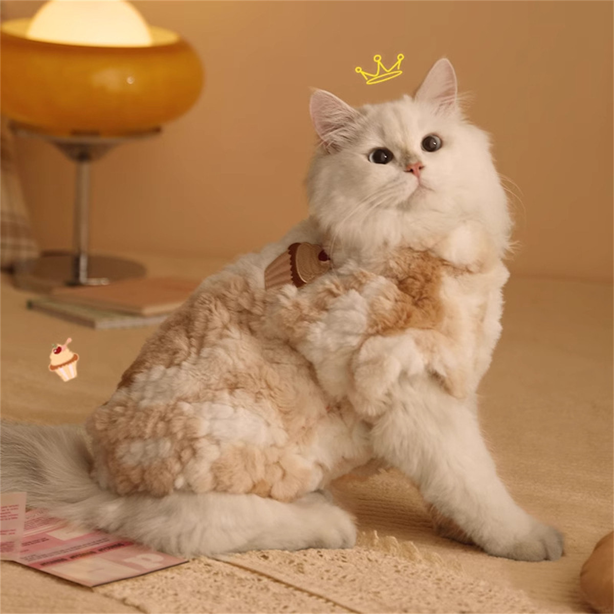 HOOPET 猫咪衣服冬季防掉毛布偶猫幼猫英短宠物小猫冬天保暖的猫猫秋冬装