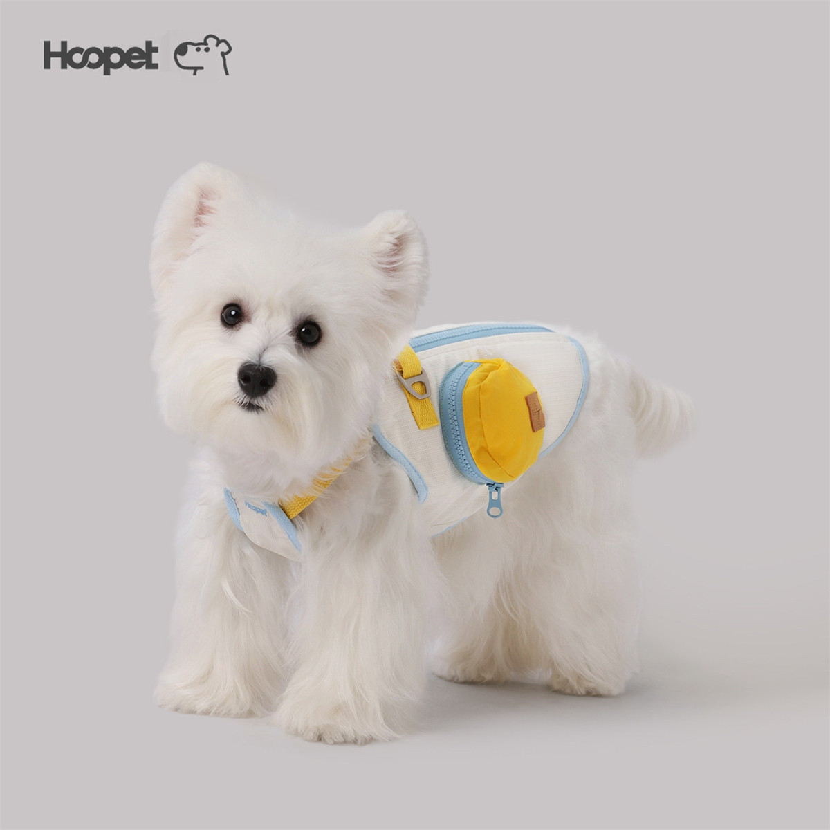 HOOPET 夏季多彩薄款可爱可牵引背心柯基比熊小型犬猫咪宠物狗狗衣服