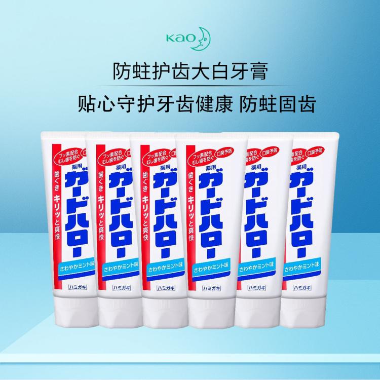 花王 防蛀护齿大白牙膏清凉味 165g*6支装
