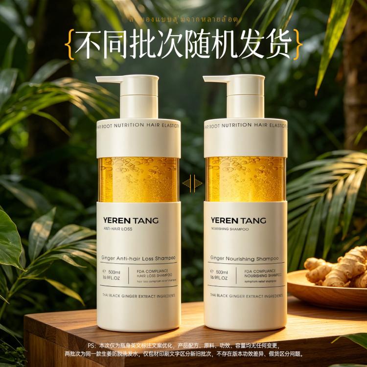 YE RENTANG 进口生姜洗发水防掉发防脱育发控油蓬松去屑止痒洗头膏洗发露女士