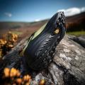 安踏 【昆仑】VIBRAM大底户外抓地耐磨越野跑鞋男专业徒步登山鞋 图片 3