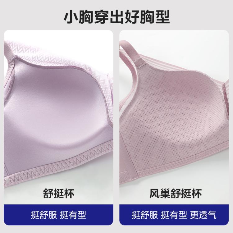 安莉芳 【升级 舒挺杯双专利】网纱无钢圈可机洗小胸聚拢侧收文胸