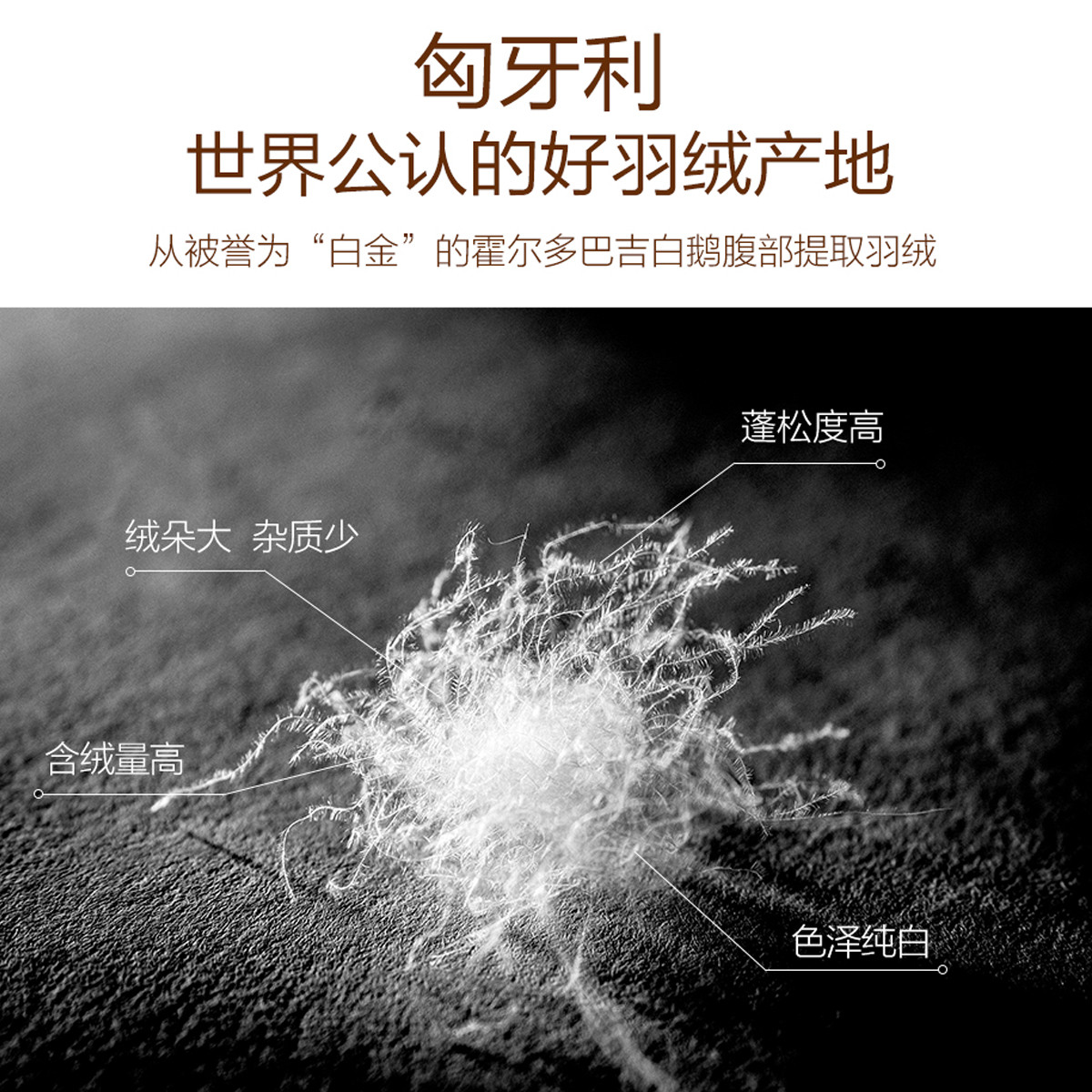 为什么匈牙利鹅绒好呢,匈牙利鹅绒的优点,匈牙利白鹅绒的特点_大山谷图库