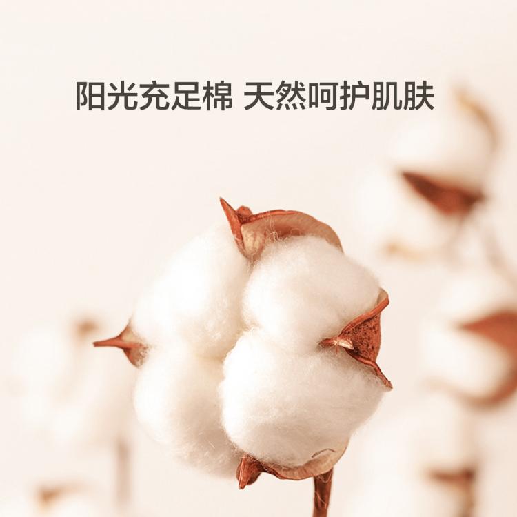 红豆 【柔软100%棉】2条纯棉秋裤男打底棉毛裤薄款中腰男士保暖裤