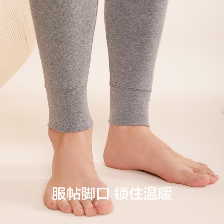 红豆 【柔软100%棉】2条纯棉秋裤男打底棉毛裤薄款中腰男士保暖裤