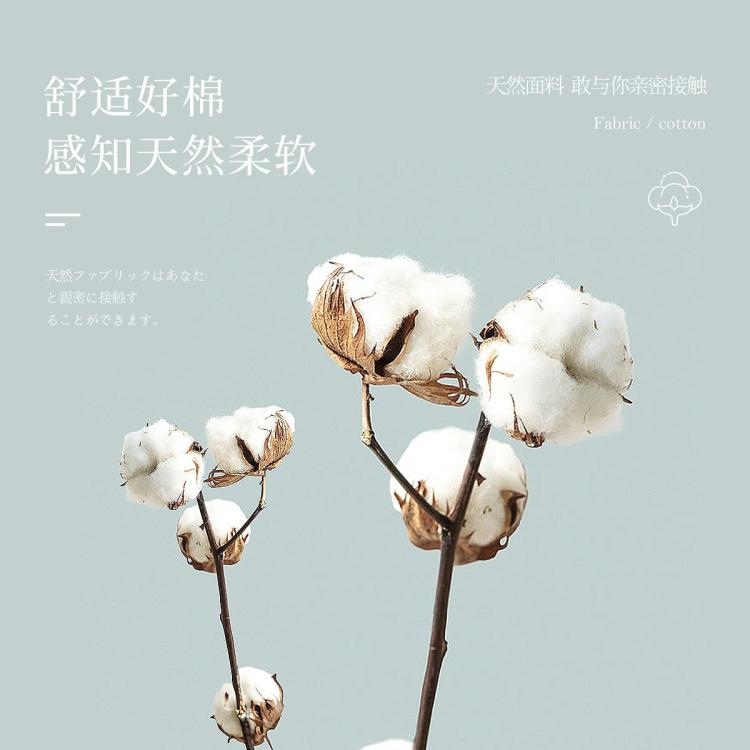 浪莎 捡漏【收腹提臀】女士内裤女纯棉内裤短裤女内裤收腹裤女高腰内裤