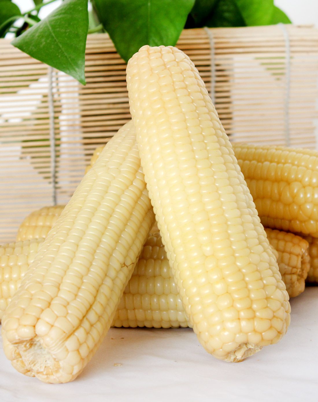 玖品东北白玉米10根
