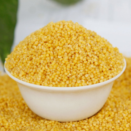 【热销推荐】沁州黄小米450g*4 谷子山西特产农家黄小米五谷杂粮月子