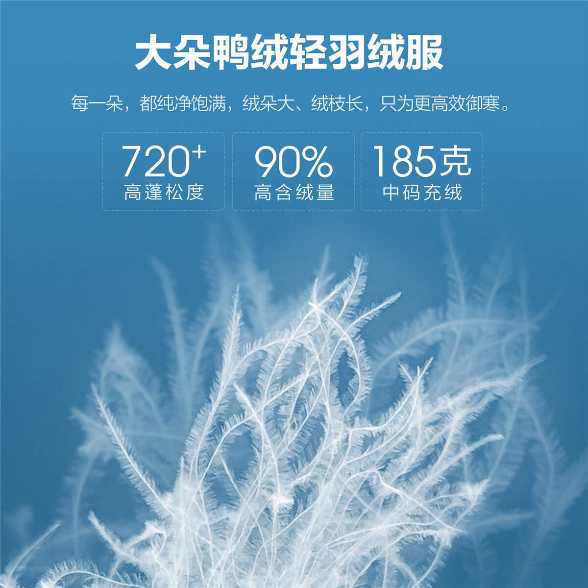 鸭绒素材,白鸭绒素材,鹅绒和鸭绒(第3页)_大山谷图库