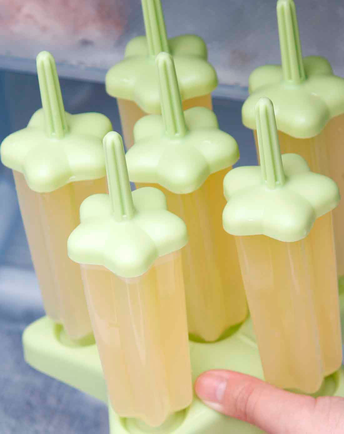 梅花创意冰棍制作盒6个装