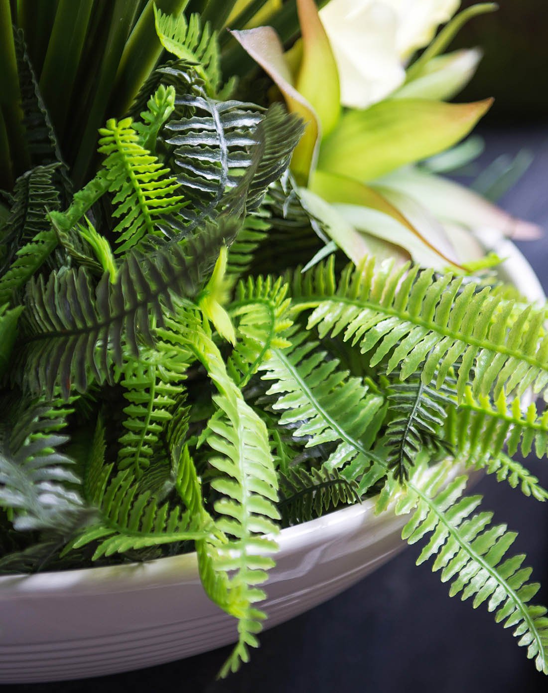 清新绿植-大羽蕨仿真蕨叶-多款