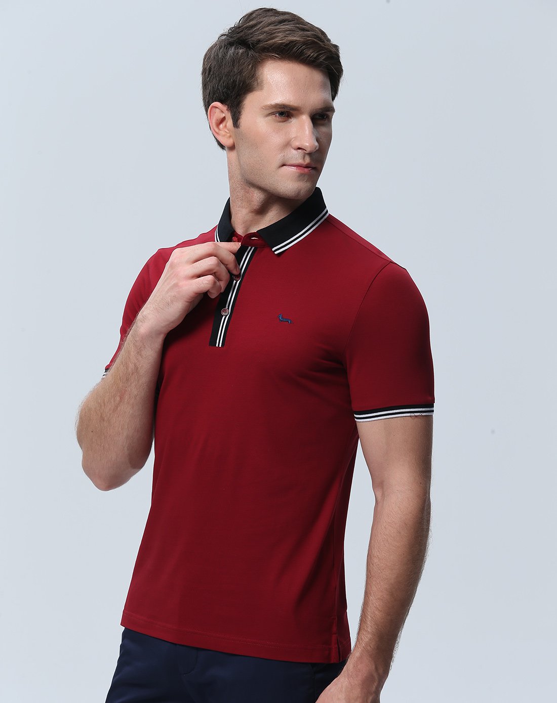 亲肤舒适商务休闲丝光棉polo短袖t恤